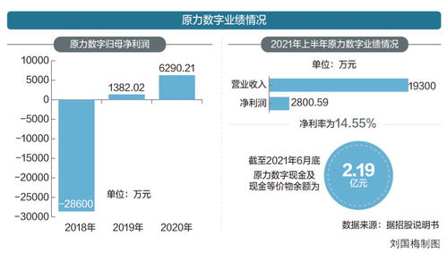 靠3D数字人业务能否翻身？原力数字冲刺创业板的机遇与挑战